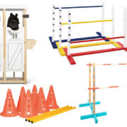 Käpphästhinder och käpphäststall