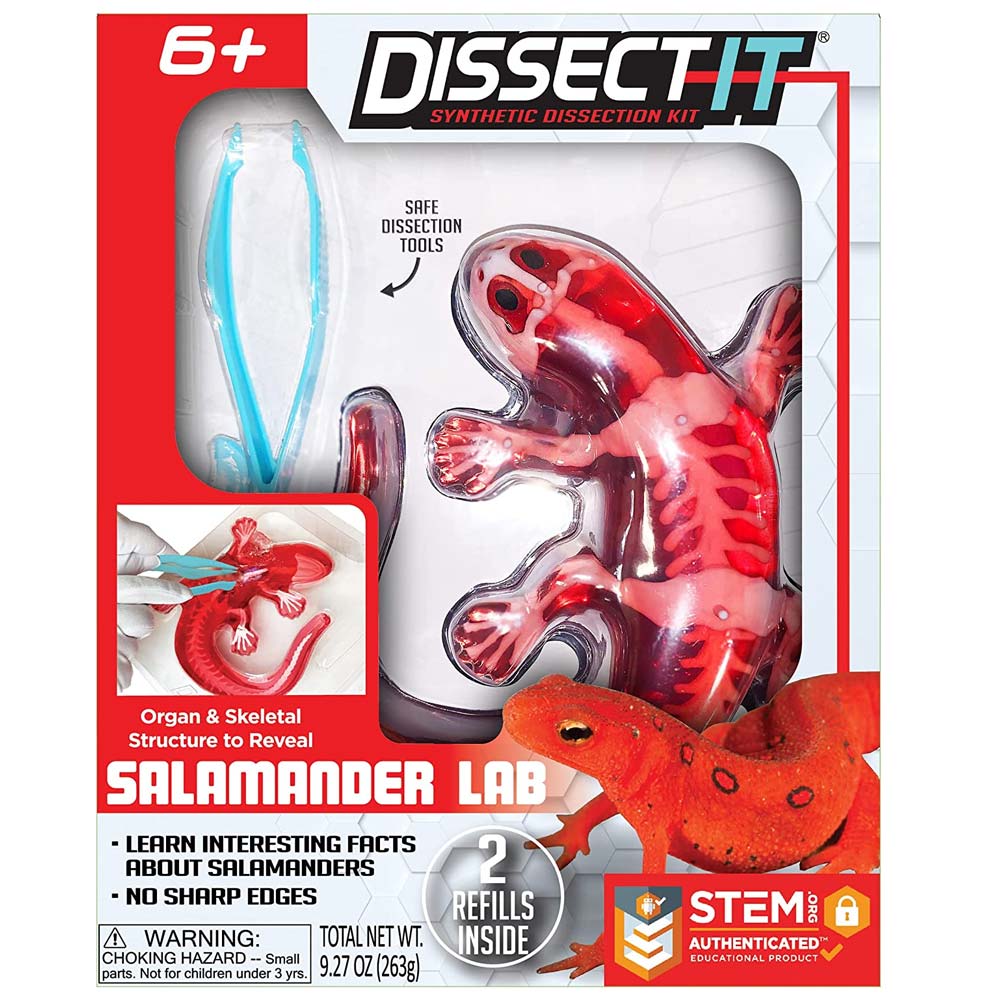 Dissect It Salamander skolbarnleksak årets