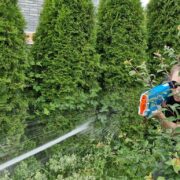 Spyra 3, Spyra LX recension vattenpistoler